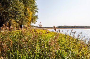 Cheremenets Gölü kıyısında. John, Teolojik Çerçeve Manastırı. Cheremenet 'ler. Luga bölgesi, Leningrad bölgesi. Çekim tarihi 26 Eylül 2020