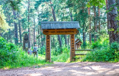 Sapsho Gölü 'ne giden Gezginler Parkı' na geçit. Przhevalskoe köyü, Smolensk bölgesi. Çekim tarihi: 11 Temmuz 2020