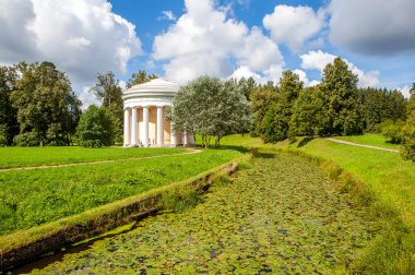 Bereketli yeşil park manzarası