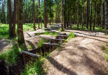 Tam profil siperleri. Anıt ve tarihi Kuuterselk 1944 Lebyazhye köyü. Vyborgsky bölgesi. Leningrad bölgesi. Rusya. Çekim tarihi 20 Haziran 2020