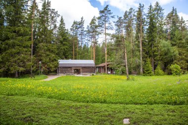 Güneşli yeşil sahnede ahşap ev