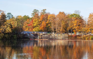Gölü olan sonbahar parkı manzarası
