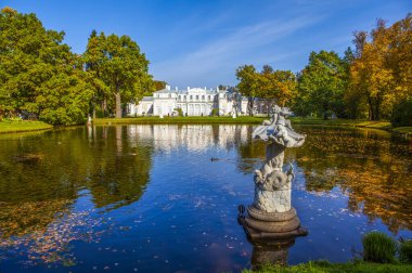 Gölü olan sonbahar parkı manzarası