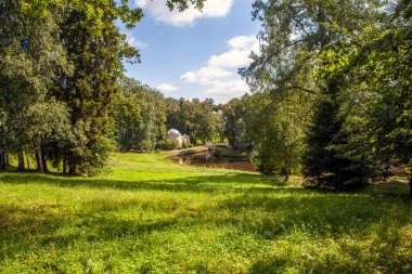 Bereketli yeşil park manzarası