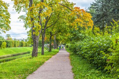 Sonbaharda üçlü ara sokak. Bypass kanalı ve küçük Çin köprüleri. Alexander Park. Puşkin. St. Petersburg 'da. Çekim tarihi 20 Eylül 2020