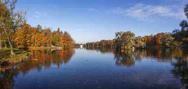 Gölü olan sonbahar parkı manzarası
