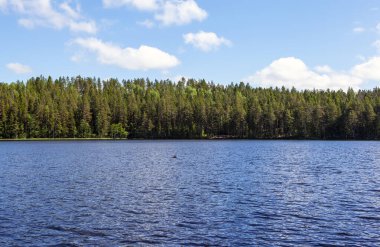 Yeşil ağaçlı ve mavi bulutlu göl