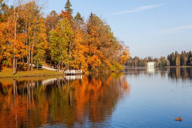 Gölü olan sonbahar parkı manzarası