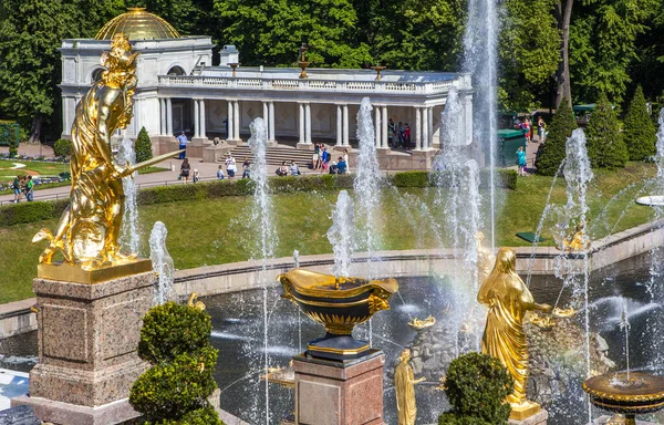 Peterhof Russia July 2020 Photo View Samson Fountain — Stock Photo, Image