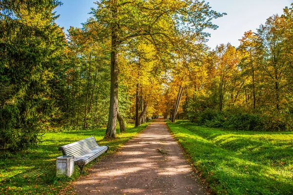 Beautiful Autumn Park Yellow Green Trees — Stock Photo, Image