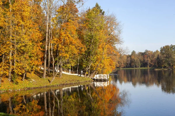 Vista Sulla Scena Del Parco Autunnale Con Lago — Foto Stock