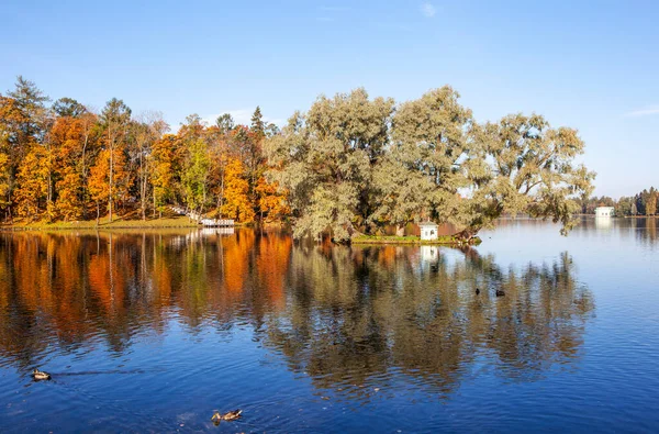 Vista Otoño Parque Escena Con Lago — Foto de Stock