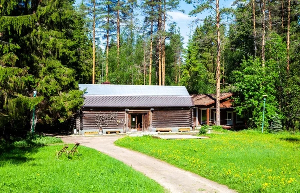 Holzhaus Sonniger Grüner Landschaft — Stockfoto
