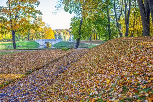 Autumn Park Scene Fallen Leaves — Stock Photo, Image