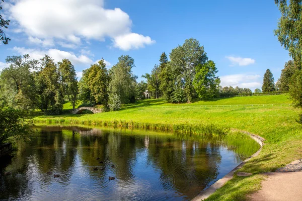 Scenic View Lush Green Park Scene — Stock Photo, Image