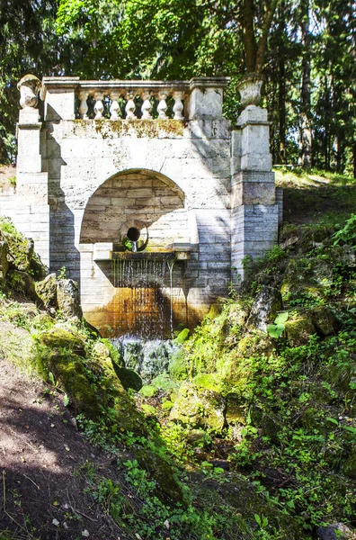 Świetna Kaskada Park Pawłowskiego Pawłowsk Petersburga Rosja Data Kręcenia Sierpnia — Zdjęcie stockowe