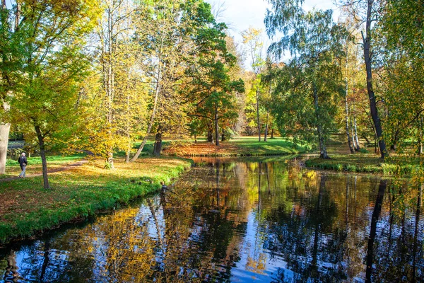 Vista Otoño Parque Escena Con Lago — Foto de Stock