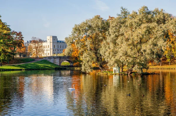 湖の見える秋の公園の風景 — ストック写真