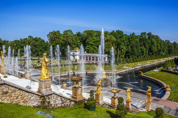 Peterhof Rusia Julio 2020 Foto Vista Fuente Sansón — Foto de Stock