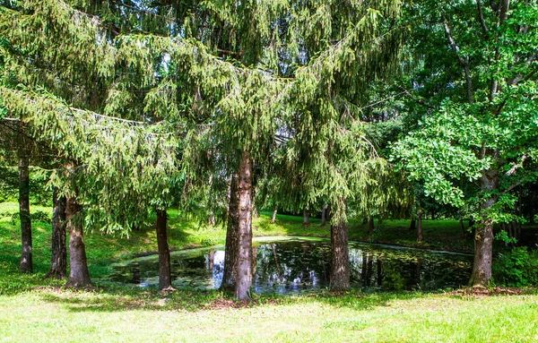 Der See Auf Dem Territorium Des Hofes Des Haus Museums — Stockfoto