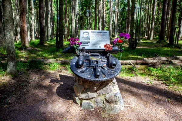 Monumento Mortai Regione Commemorativa Storica Kuuterselk 1944 Villaggio Lebyazhye Distretto — Foto Stock