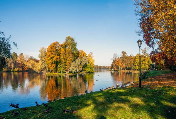 View Autumn Park Scene Lake — Stock Photo, Image