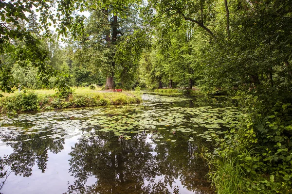 Вид Пышный Зеленый Парк Озером — стоковое фото