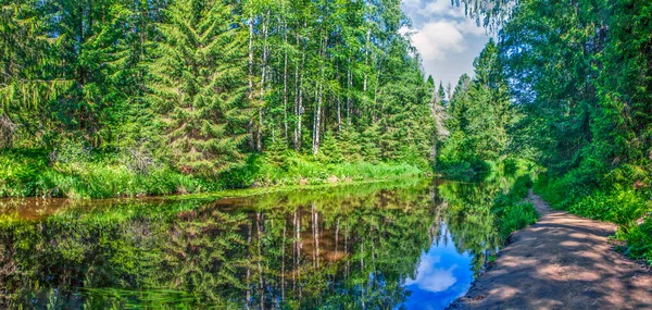 有河流和茂密绿林的夏季风景 — 图库照片