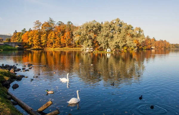 Vista Otoño Parque Escena Con Lago — Foto de Stock