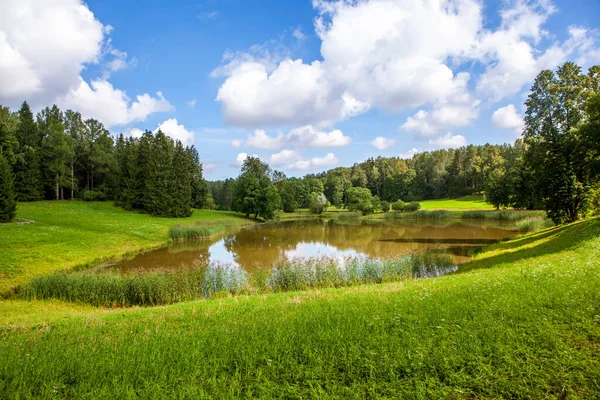 Scenic View Lush Green Park Scene — Stock Photo, Image