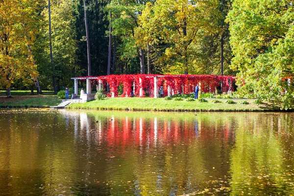 Parque Otoño Con Árboles Arbustos Rojos Reflejándose Estanque — Foto de Stock