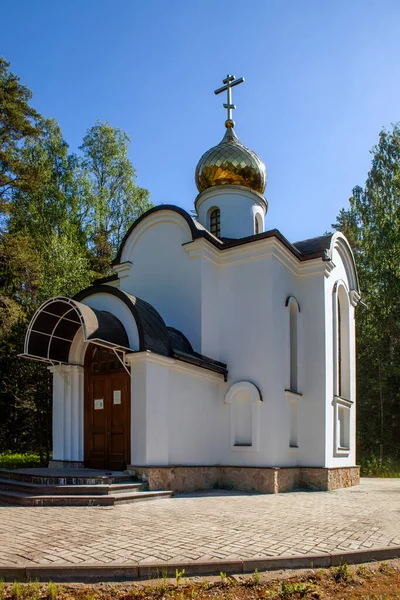 Православная Церковь Городе Владимире Россия — стоковое фото