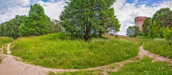 Vesting Muur Toren Oryol Gorodetskaya Smolensk Datum Van Schietpartij Juli — Stockfoto