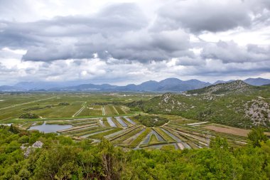 Neretva Nehri deltasındaki sulama yapılan tarımsal bahçelerin ve tarlaların manzarası. Opuzen. Hırvatistan