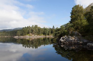 Ormandaki gölün güzel manzarası