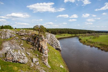 Taşlı ve yeşillikli nehir manzarası, Aramashevo, Rusya
