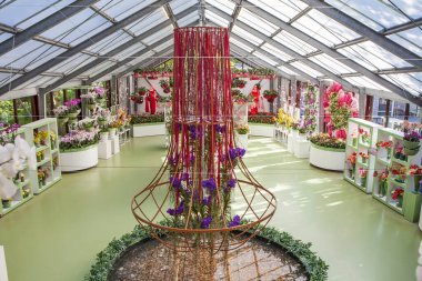 LISSE, NETHERLANDS - 4 Mayıs 2018: çiçek sergisi fotoğrafı. Beatrix Pavyonu. Keukenhof Kraliyet Parkı