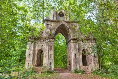 Gotik kapı. Homestead Demidov. Şımarık. Leningrad bölgesi. Rusya
