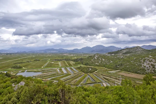 Vista Giardini Agricoli Irrigati Campi Nel Delta Del Fiume Neretva — Foto Stock