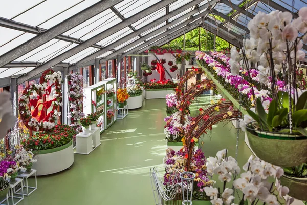 Lisse Netherlands May 2018 Photo Flowers Exposition Beatrix Pavilion Royal — Stock Photo, Image