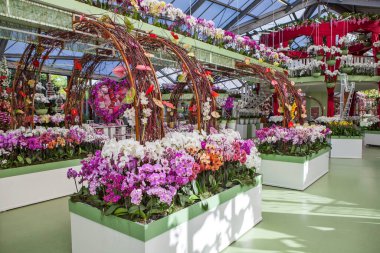 LISSE, NETHERLANDS - 4 Mayıs 2018: çiçek sergisi fotoğrafı. Beatrix Pavyonu. Keukenhof Kraliyet Parkı