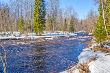 Karlı, perçinli ve ağaçlı güzel kış manzarası