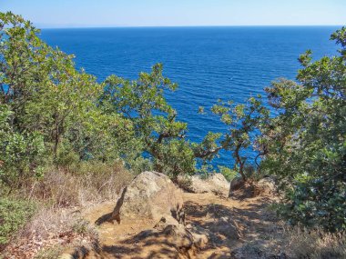 Deniz ve mavi gökyüzü ile kıyı kayaları ve yeşillik