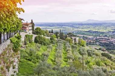 Toskana manzaraları. Cortona. İtalya
