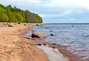 Yazın güzel deniz kıyıları