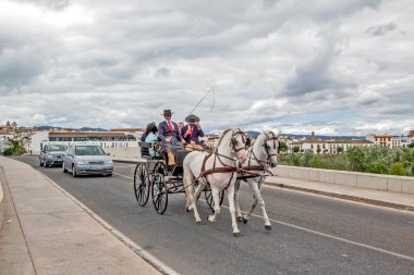 Bir çift at tarafından çekilen bir şezlongda geleneksel kostümlü arabacı. Cordova. İspanya. Çekim tarihi 29 Mayıs 2013