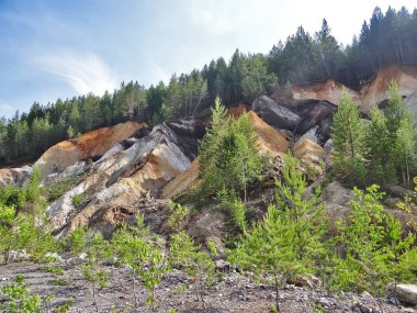 Ormanda büyük bir kaya yığını