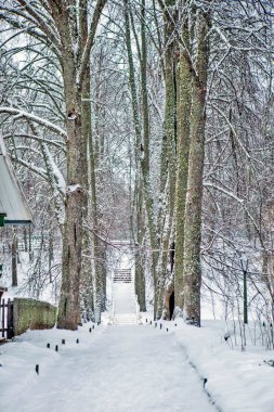Kambur köprüdeki sokak. Mikhailovskoe. Puşkin Dağları. Pskov bölgesi. Rusya. Çekim tarihi 22 Aralık 2018