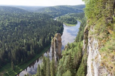 Nehir ve ormanın güzel manzarası
