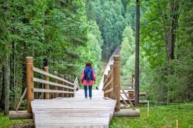 MALYE KORELY, RUSYA - 21 AĞUSTOS 2017: Ahşap merdiven fotoğrafı.